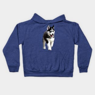 Siberian Husky Puppy Dog Kids Hoodie